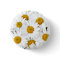 Daisies
