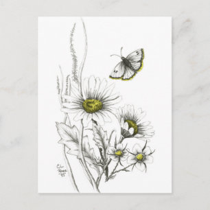 Daisies and Butterfly Postcard