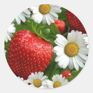 Daisies and Strawberries Classic Round Sticker