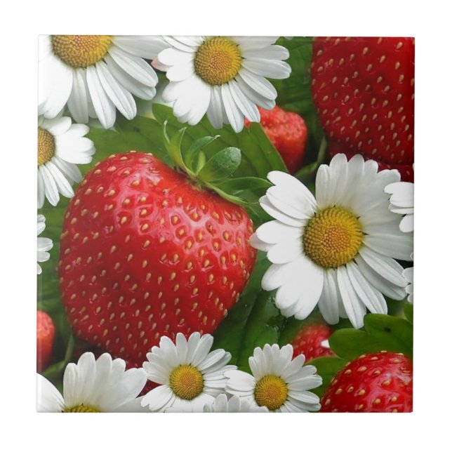 Daisies and Strawberries Tile (Front)
