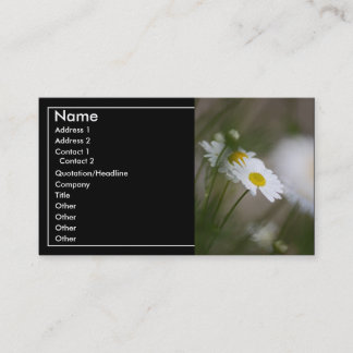 Daisies Business Card