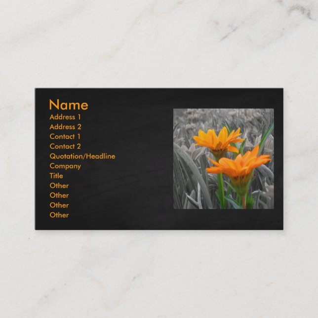 Daisies Business Card (Front)