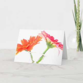 Daisies Card