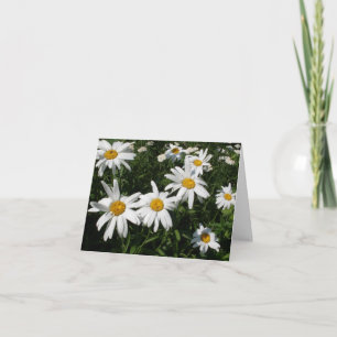 Daisies Card