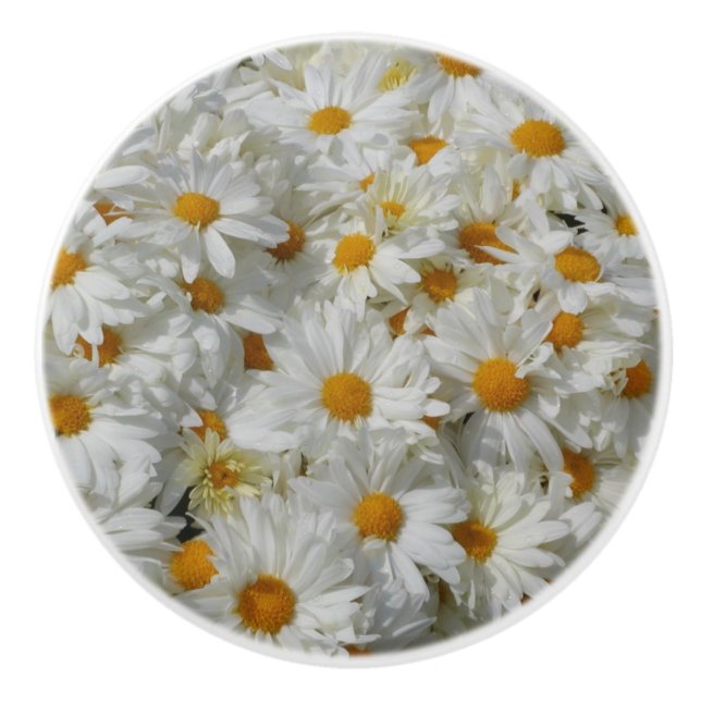 Daisies Ceramic Knob (Front)