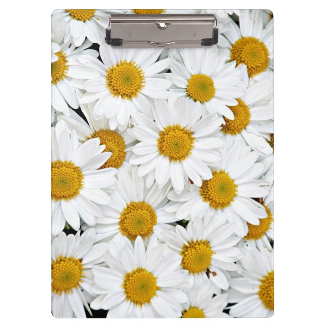 Daisies Clipboard (Front)