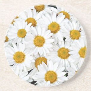 Daisies Coaster