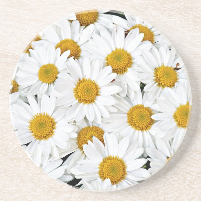 Daisies Coaster (Front)