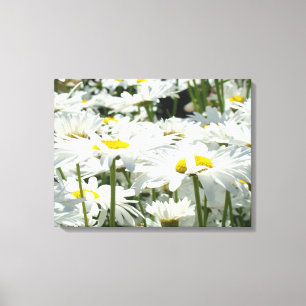 Daisies Floral Canvas Art Prints Daisy Flowers