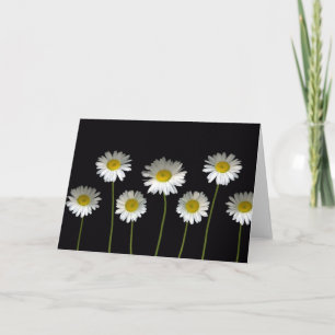 Daisies Galore Greeting card