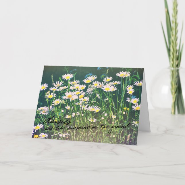 DAISIES Greeting Card (Front)