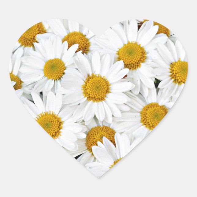 Daisies Heart Sticker (Front)
