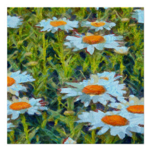Daisies In A Garden Flowerbed Floral Art Poster