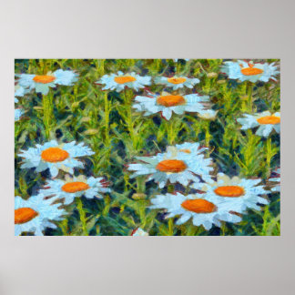 Daisies In A Garden Flowerbed Floral Art Poster