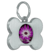 daisies in spring pet name tag (Front Left)