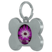 daisies in spring pet name tag (Front Right)