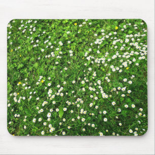 Daisies in the Grass Mouse Mat