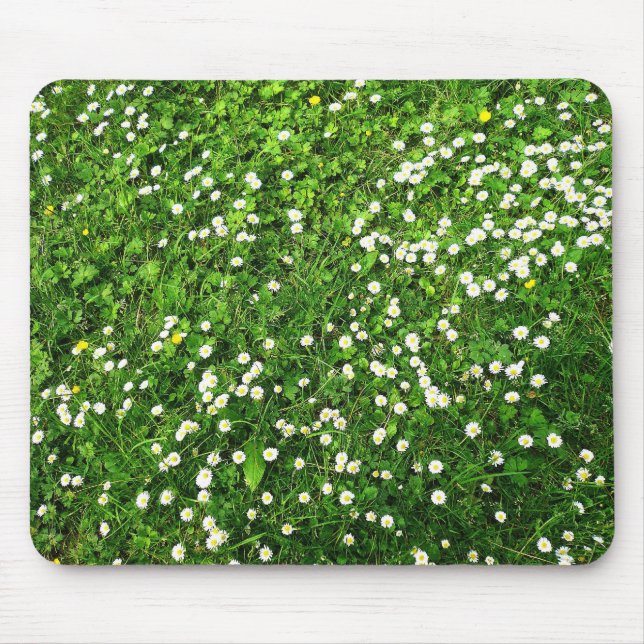 Daisies in the Grass Mouse Mat (Front)