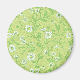 Daisies in white and green on honey dew green magnet