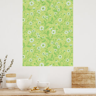 Daisies in white and green on honey dew green poster