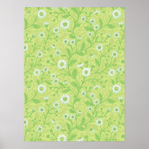 Daisies in white and green on honey dew green poster