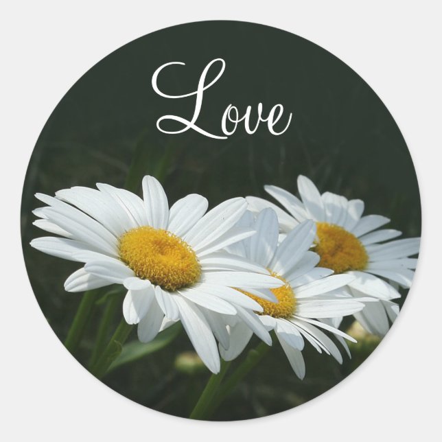 Daisies Love Classic Round Sticker (Front)