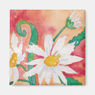 Daisies magnet