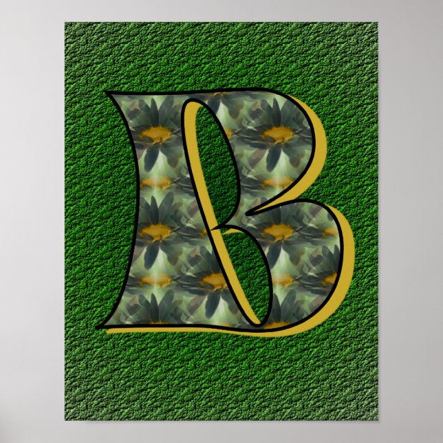 Daisies Monogram Initial B Poster (Front)