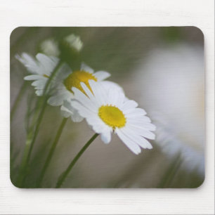 Daisies Mouse Mat