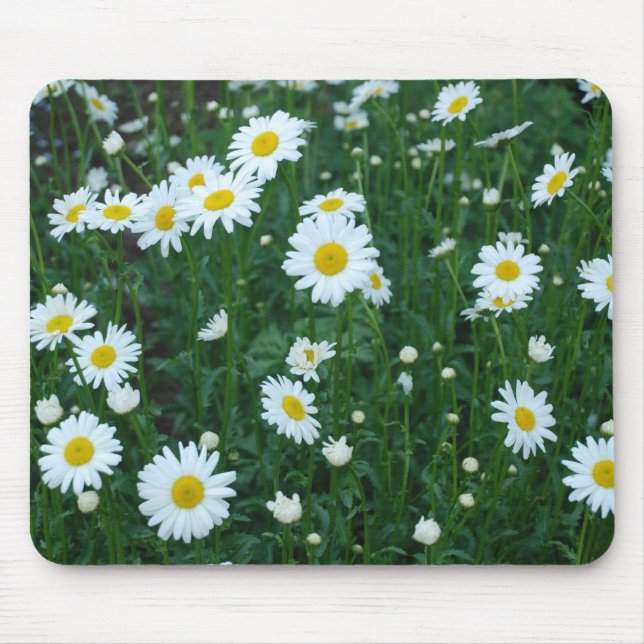 Daisies - Mousepad (Front)