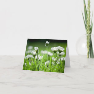 Daisies Note Card