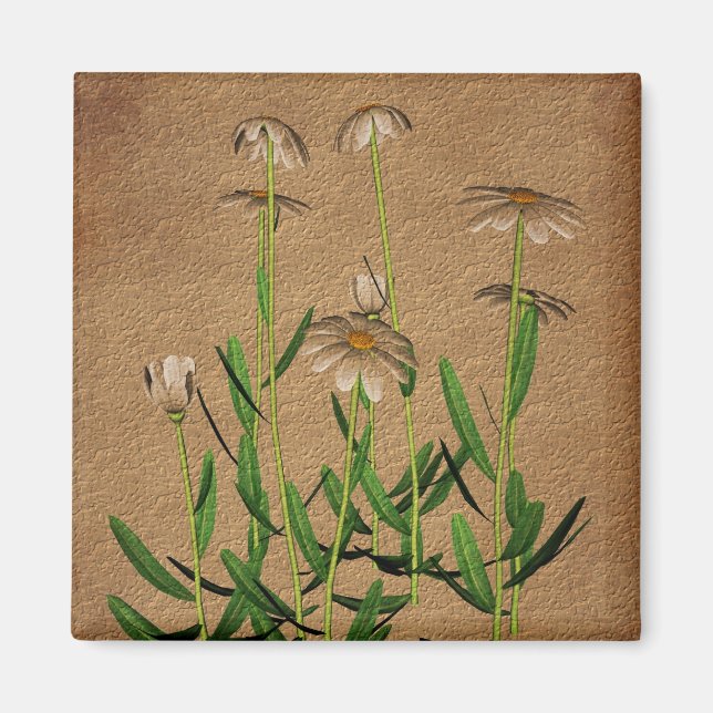 Daisies On Aged Paper Floral Magnet (Front)