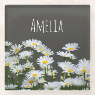Daisies on Grey Glass Coaster