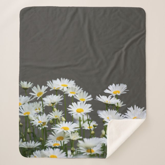 Daisies on Grey  Sherpa Blanket (Front)