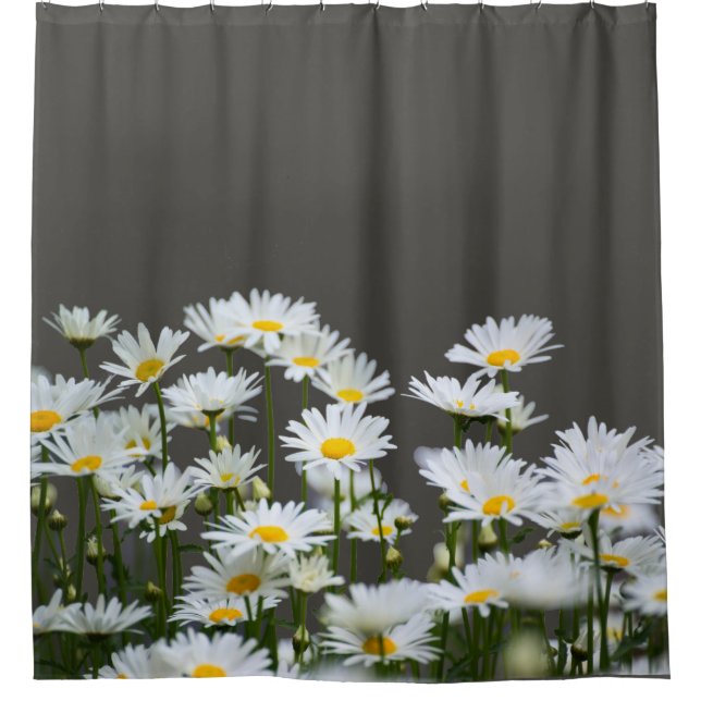 Daisies on Grey Shower Curtain (Front)