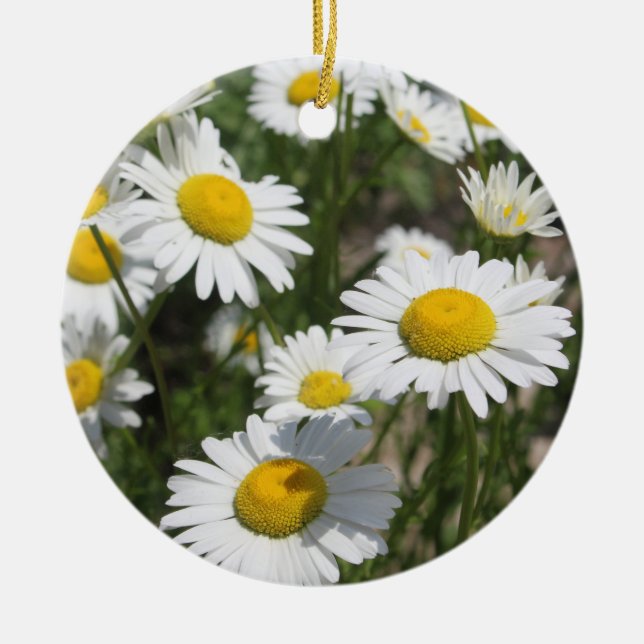 Daisies ornament (Front)