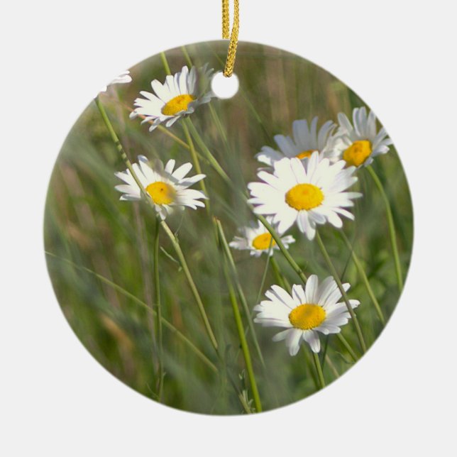 Daisies Photo Ornament  (Front)