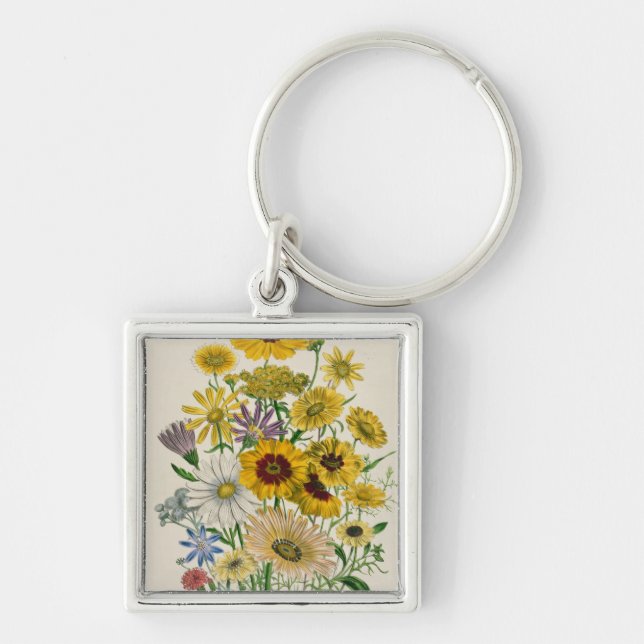 Daisies, plate 31 from 'The Ladies' Key Ring (Front)