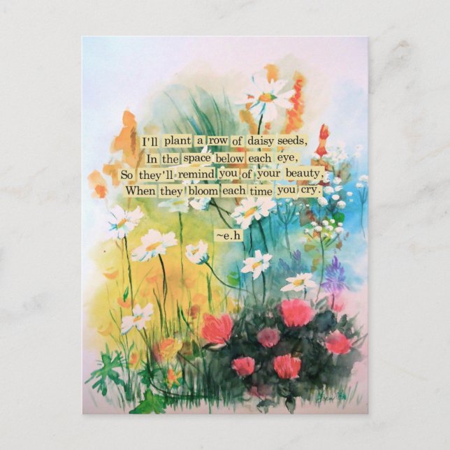 Daisies Postcard (Front)