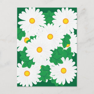 Daisies Postcard