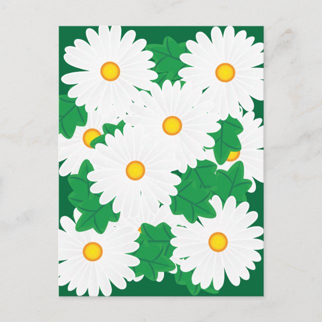 Daisies Postcard (Front)