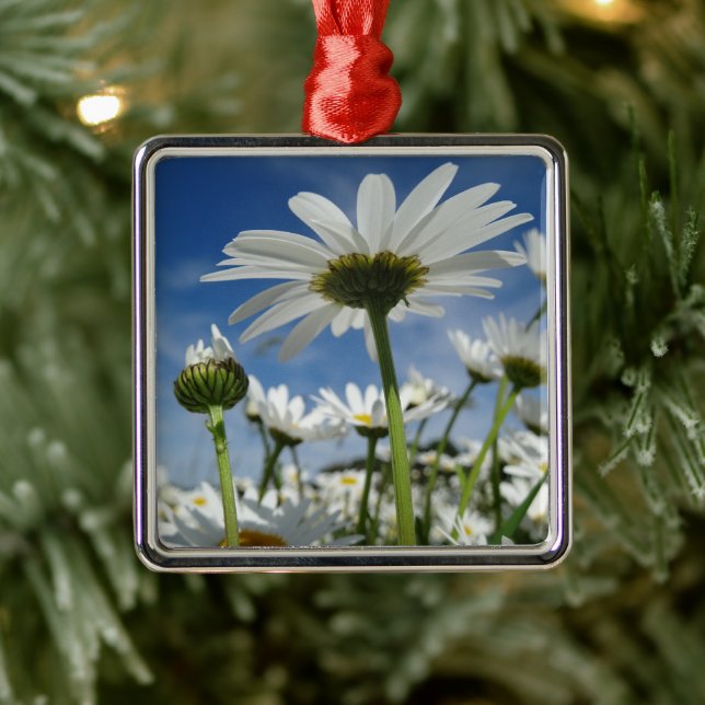 Daisies Reaching for the Sky Metal Tree Decoration (Tree)