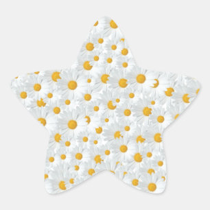 Daisies Star Sticker