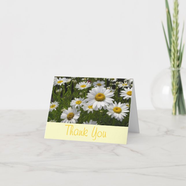 Daisies Thank You Card (Front)
