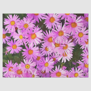 DAISIES TISSUE PAPER