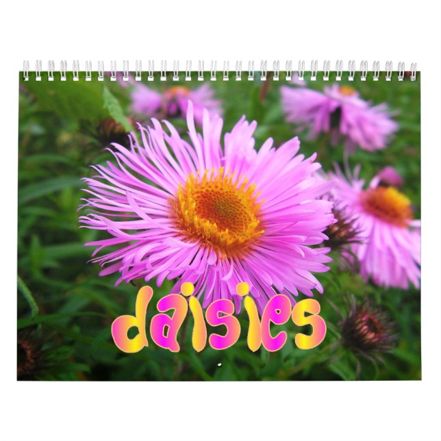 Daisies Wall Calendar (Cover)