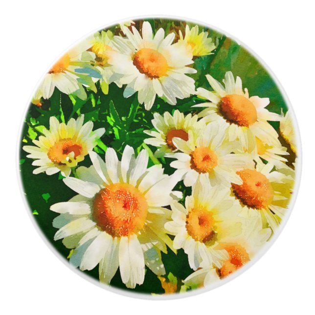Daisies Watercolor Ceramic Knob (Front)