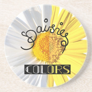 Daisies, white & yellow colours coaster