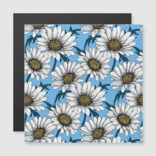 Daisies, wild flowers on blue