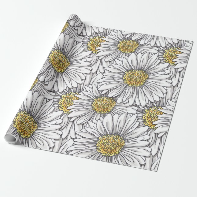 Daisies Wrapping Paper (Unrolled)